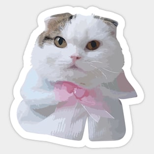 cute cat with dress Sticker